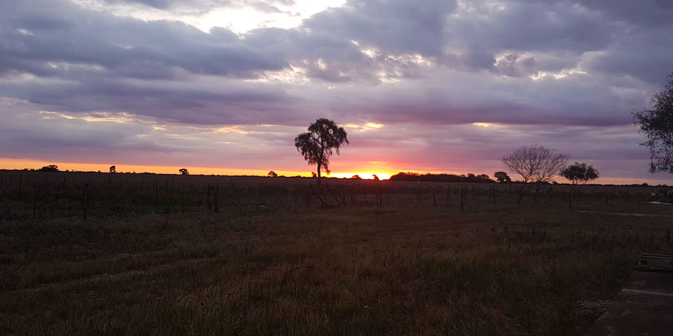 alquilercampo2